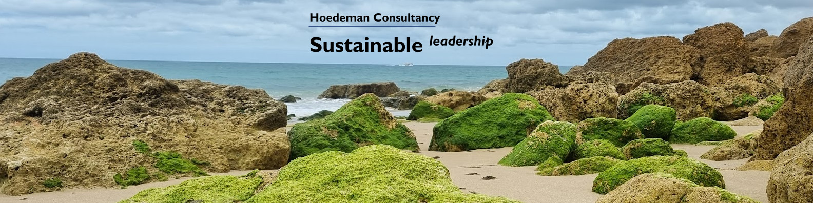 Sustainable Leadership and Transformation